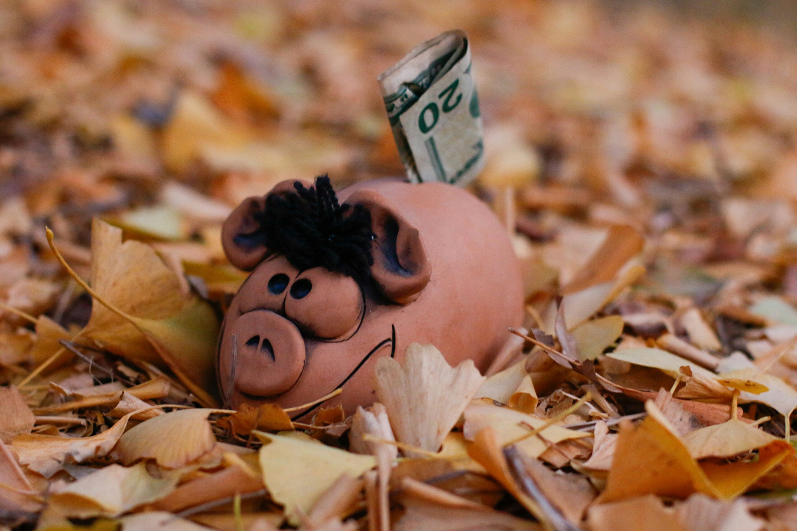 alla-kemelmakher-aOW_OUCbGGQ-unsplash