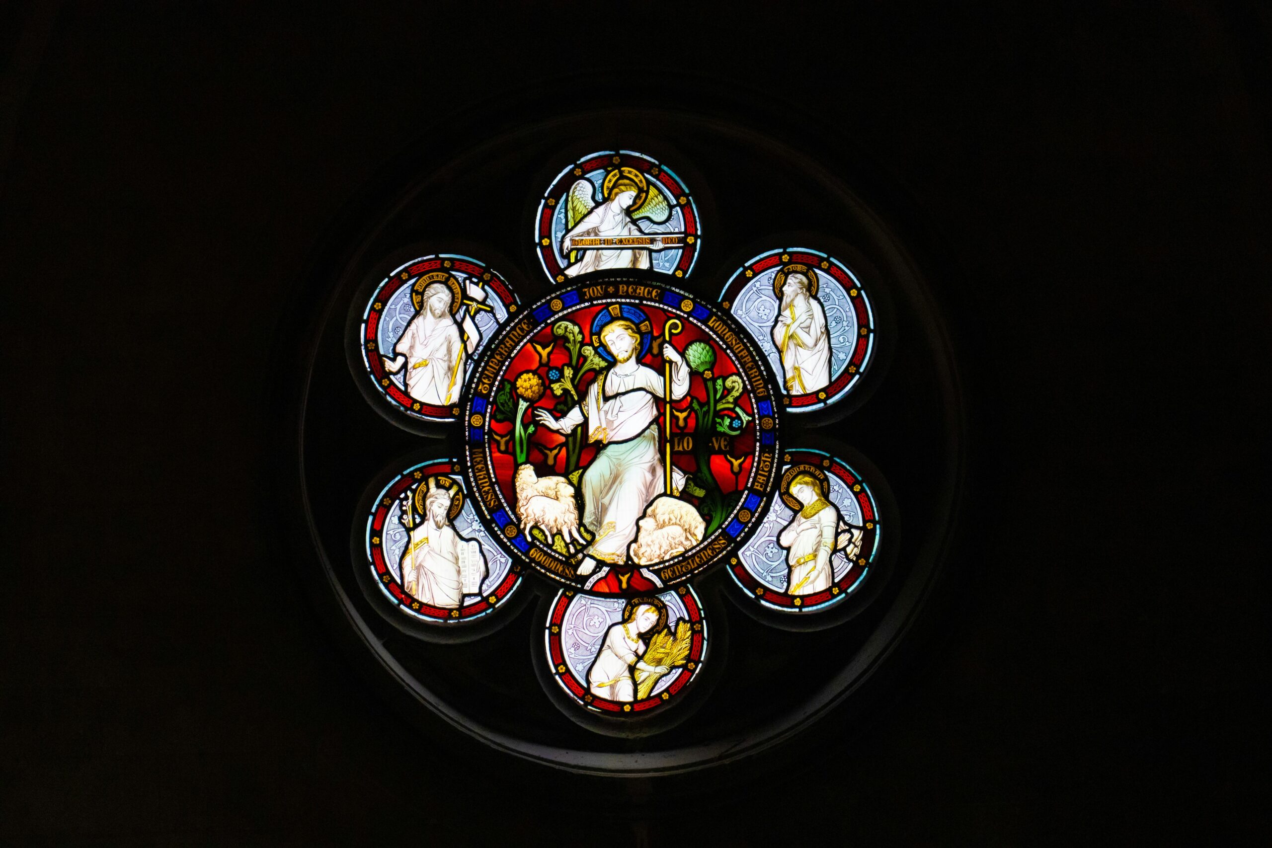 michal-pokorny-k54MmIHbpZo-unsplash